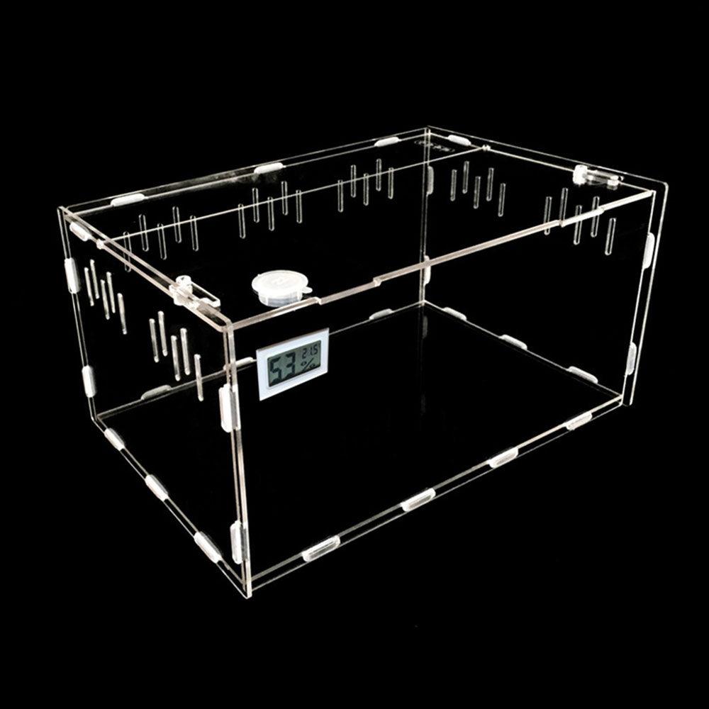 Reptile Haven: Crystal Clear Breeding Box For Your Beloved Pets