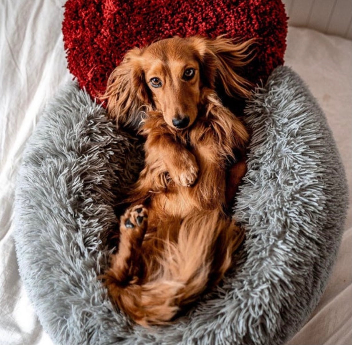 Marshmallow Pet Bed - Soft & Cozy Dog and Cat Bed