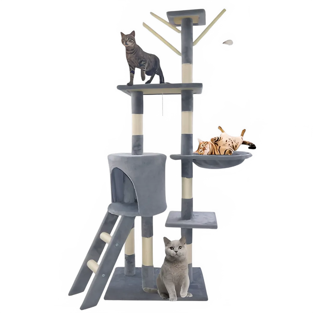 3d5b1250-9bc5-4f94-9060-f24c099f9b9e