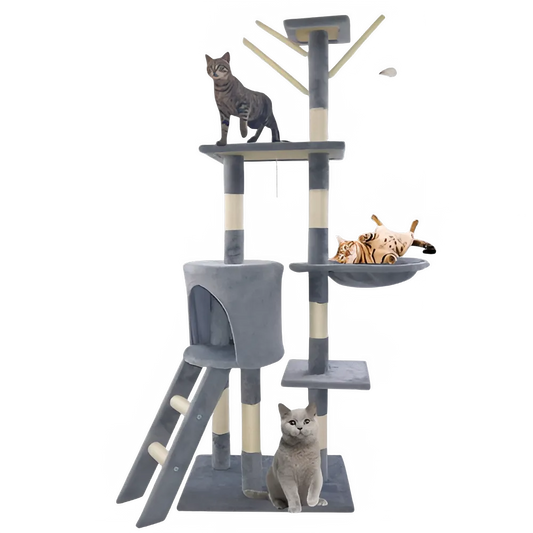 3d5b1250-9bc5-4f94-9060-f24c099f9b9e