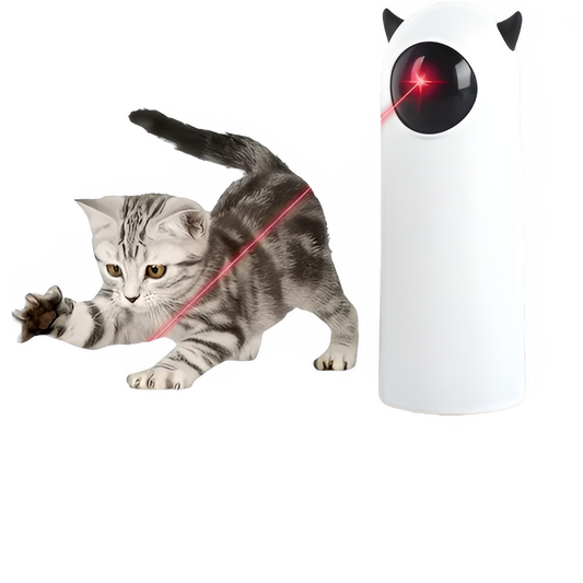 4955f8a5-610e-41ce-b3a8-0a5b9ab0e8a5