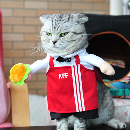 Pet Costumes - Fun & Cute Outfits for Dogs and Cats