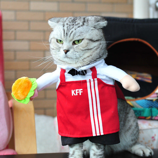 Pet Costumes - Fun & Cute Outfits for Dogs and Cats