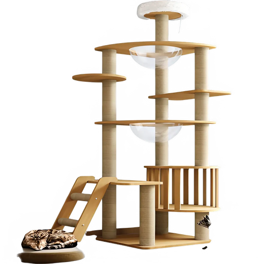 9365efc5-bc6b-48e2-8b0a-80e4955947f9