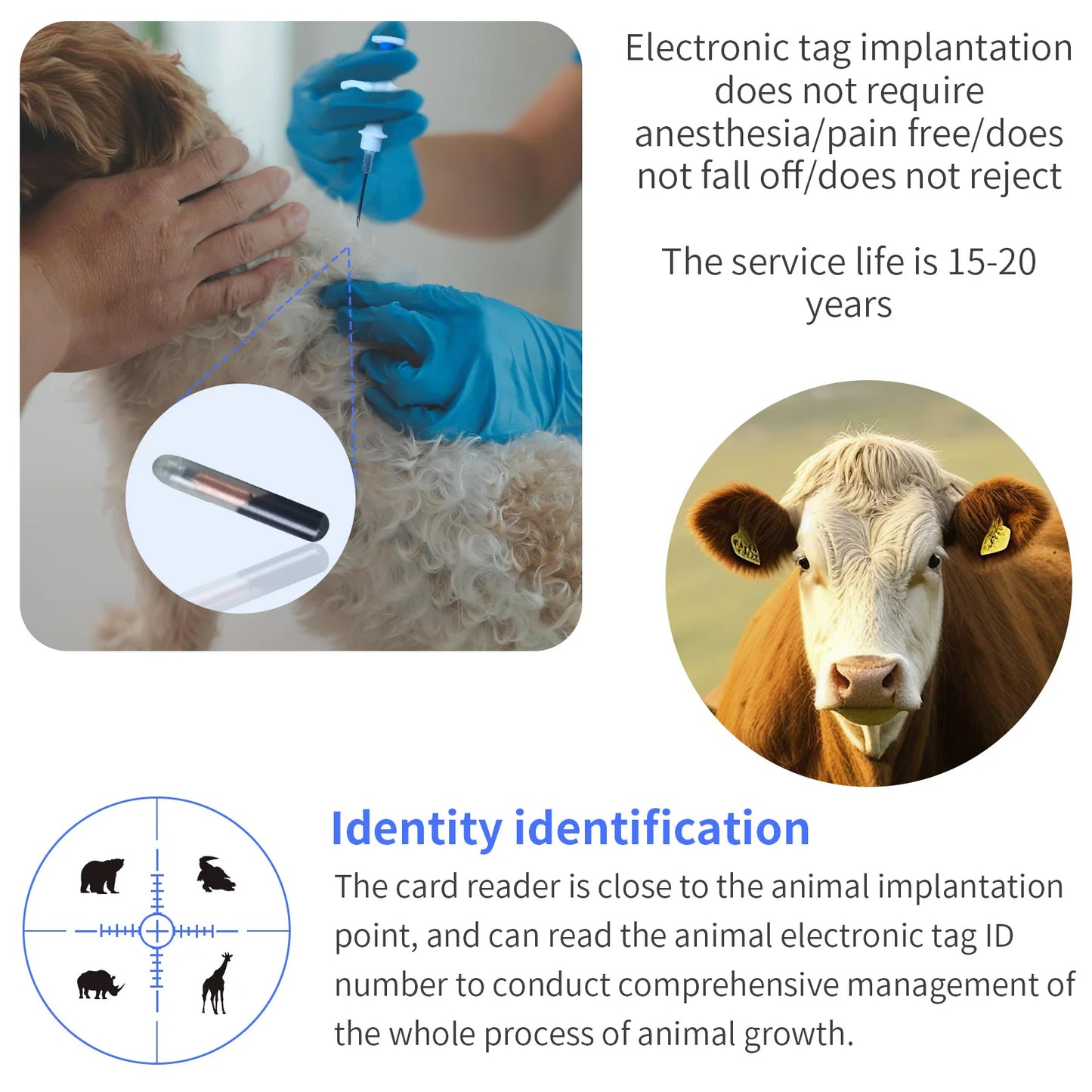 S012cfd1c0aad4c1ea0610d0d7c05ca13Z