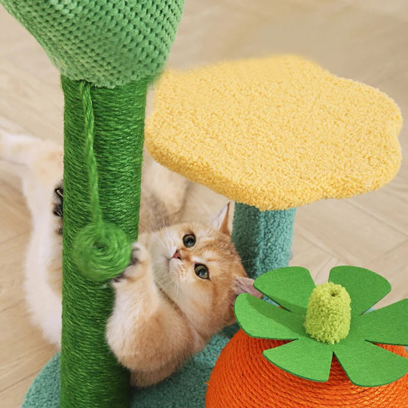 S26f1fd73193a42a99b044a4a6bc3ff6a3