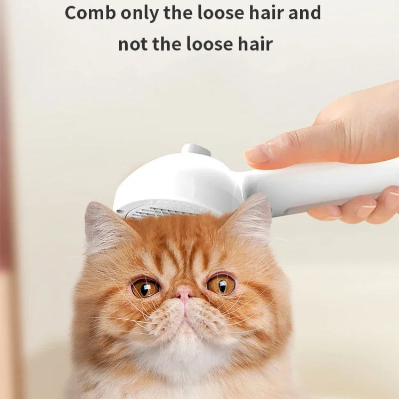 S55b4759ec478494581362294987c35aag