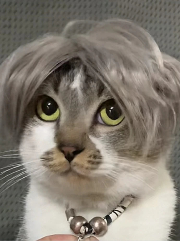 S848b237e58d64ff592937e55fe3fcefcW