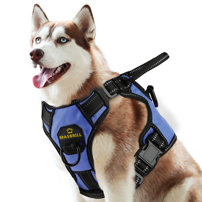 S88d052a243b04cfd9b8708d02ee02b89m