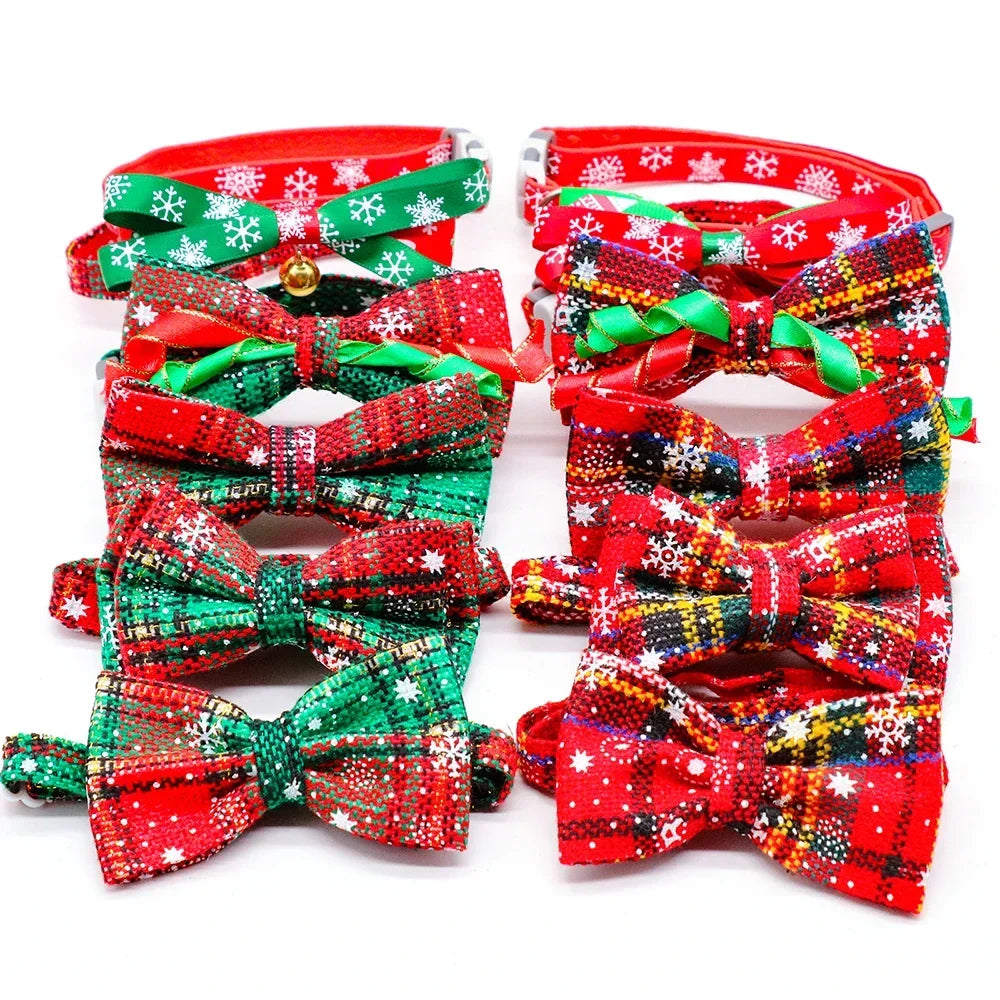 Sc927d45a657546dea6a27666900ced3eM