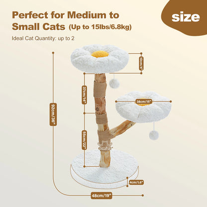 Se2a48769a3fe485b9a7c95d66e9d3349G