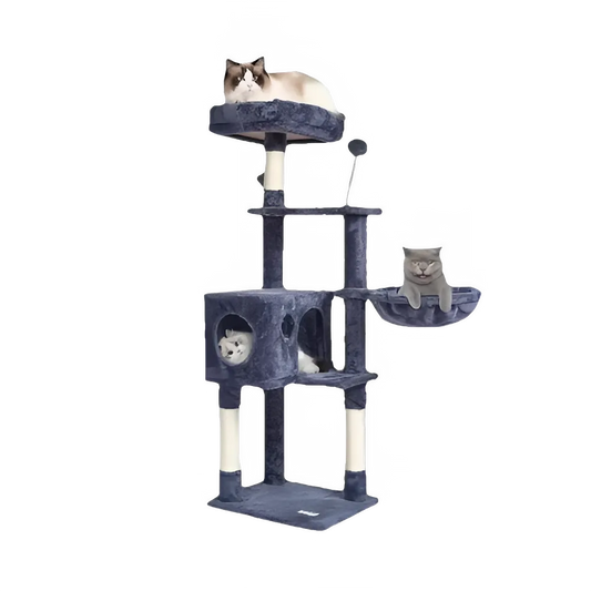 b5496bef-6217-49a7-a800-e058edb9a40d