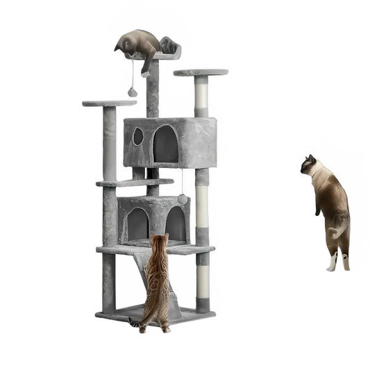 b9e82a8b-fb26-48c0-85ad-a78d22527b0f