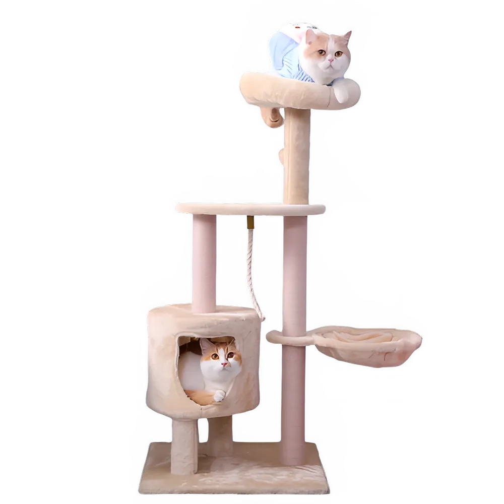 ef2b76b9-305e-4c7d-85c2-9afa56d649ce