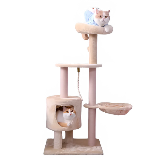 ef2b76b9-305e-4c7d-85c2-9afa56d649ce